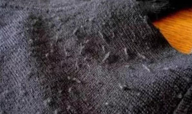 毛衣起球怎么办 两个工具帮你高效去球