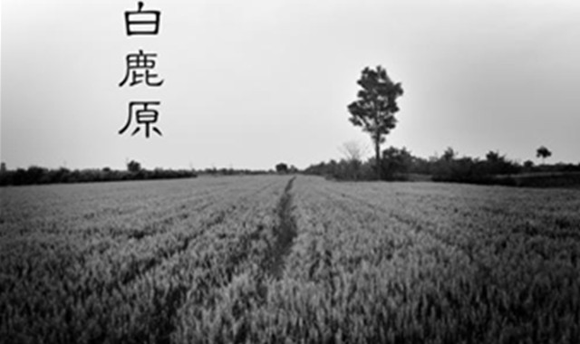 白鹿原结局 肯定出乎你的意料之外