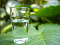 简单喝水减肥法的时间表 一秒让你喝出好身材