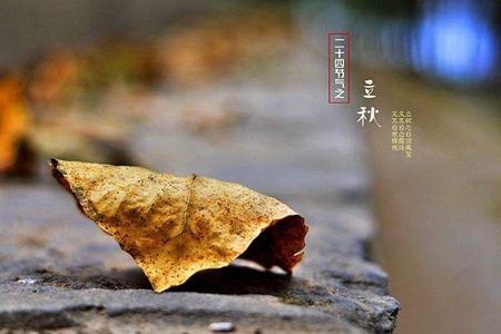 今天立秋贴秋膘时候 立秋两款药膳食疗养生