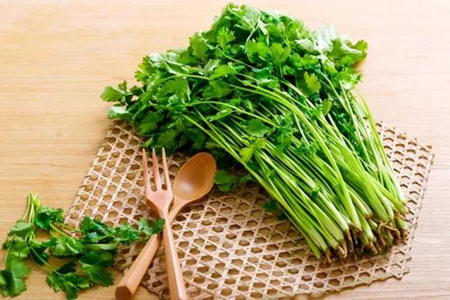 香菜的功效与作用 女人常吃香菜能养生保健