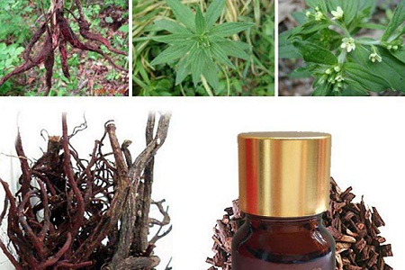 植物修护紫草油 杀菌修复美白三步到位
