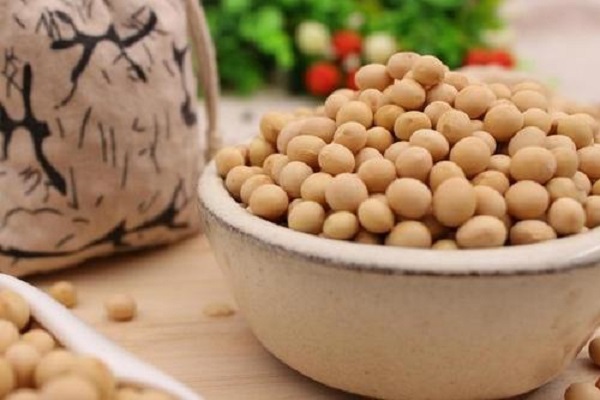 黄豆的坏处 黄豆的功效与作用禁忌又是什么呢?