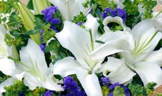 百合花香水的搭配方法 百合花香水的搭配方法如下