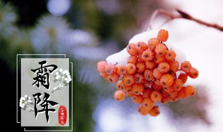 霜降节气养生 霜降节气养生怎么做