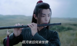 陈情令什么意思 陈情令简单介绍