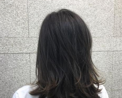 减肥会掉头发吗 头发掉了还能再长出来吗