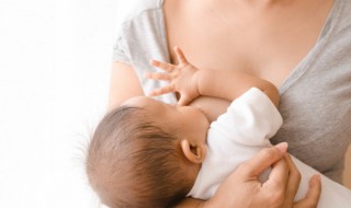 催奶师怎么催奶的 催乳师催奶的方法