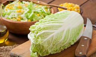 炖白菜怎么做好吃 炖白菜的做法 炖白菜如何制作