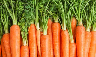 胡萝卜的吃法最好 胡萝卜最佳食用方法