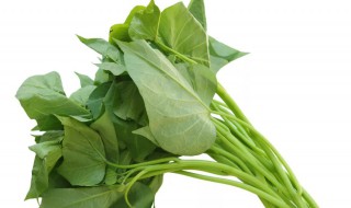 红薯叶不能与什么同吃 红薯叶的食物相克大全