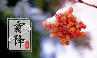 霜降代表的含义是什么 立春节气的含义是什么