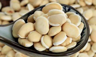 白扁豆的食用方法 云南白扁豆怎么吃