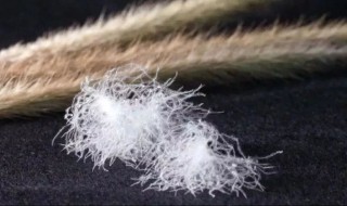 商家有权利不卖给顾客吗 有商家售卖号称含绒量100%的羽绒服你应该