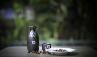 对酒秋瑾 大象为啥对酒感兴趣?