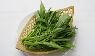 空心菜吃不完怎么保留 空心菜的保留方法