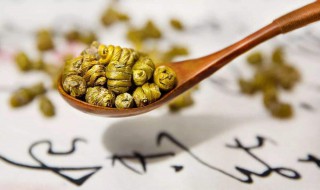 耳环石斛的食用方法 耳环石斛的食用方法介绍