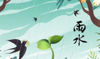 雨水养生的小常识 雨水养生有哪些小常识