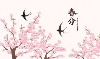 春分的谚语 关于春分的谚语介绍