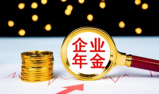 企业年金怎么查询个人账户 企业年金如何查询个人账户