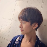男生染发 施华蔻泡泡染发剂
