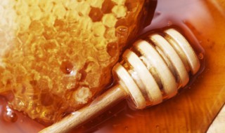 蜂蜜敷脸会不会长痘痘 蜂蜜敷脸会闷痘吗